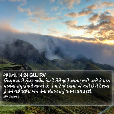 ગણના 14:24 GUJIRV Bible Verse Image