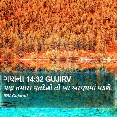 ગણના 14:32 GUJIRV Bible Verse Image