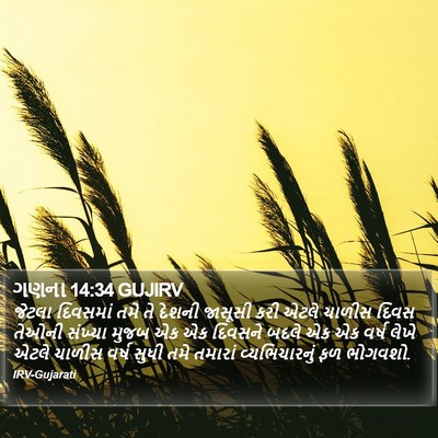 ગણના 14:34 GUJIRV Bible Verse Image