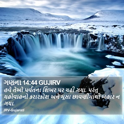 ગણના 14:44 GUJIRV Bible Verse Image