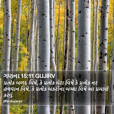 ગણના 15:11 GUJIRV Bible Verse Image