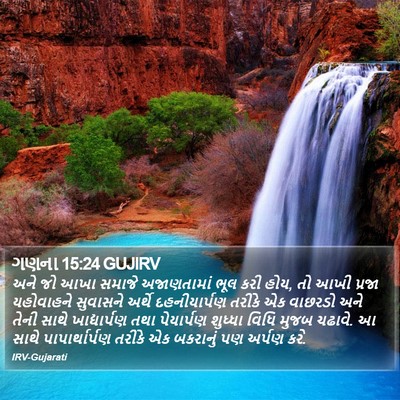ગણના 15:24 GUJIRV Bible Verse Image