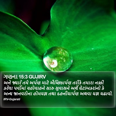 ગણના 15:3 GUJIRV Bible Verse Image