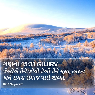 ગણના 15:33 GUJIRV Bible Verse Image