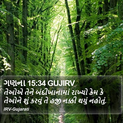 ગણના 15:34 GUJIRV Bible Verse Image
