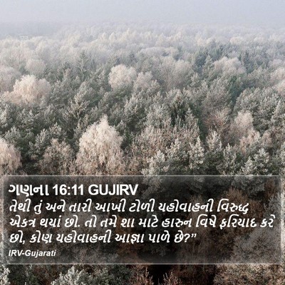 ગણના 16:11 GUJIRV Bible Verse Image
