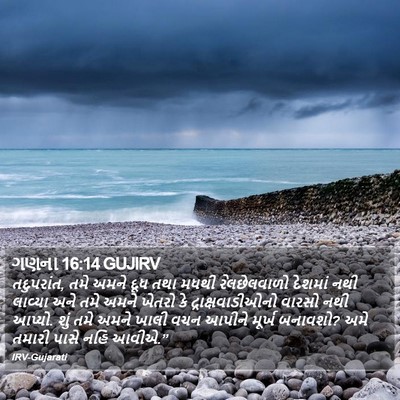 ગણના 16:14 GUJIRV Bible Verse Image