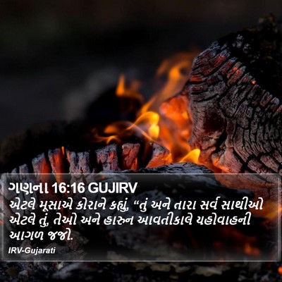 ગણના 16:16 GUJIRV Bible Verse Image