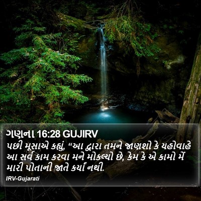 ગણના 16:28 GUJIRV Bible Verse Image