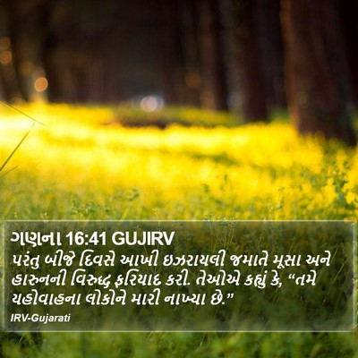 ગણના 16:41 GUJIRV Bible Verse Image