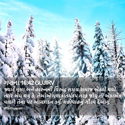 ગણના 16:42 GUJIRV Bible Verse Image