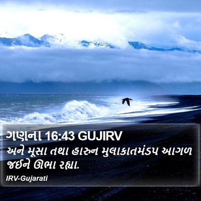 ગણના 16:43 GUJIRV Bible Verse Image