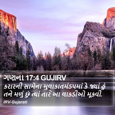 ગણના 17:4 GUJIRV Bible Verse Image