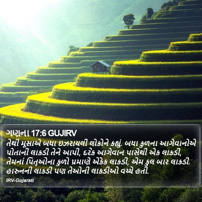 ગણના 17:6 GUJIRV Bible Verse Image