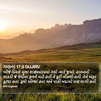 ગણના 17:8 GUJIRV Bible Verse Image