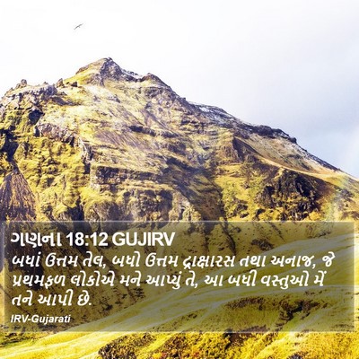 ગણના 18:12 GUJIRV Bible Verse Image