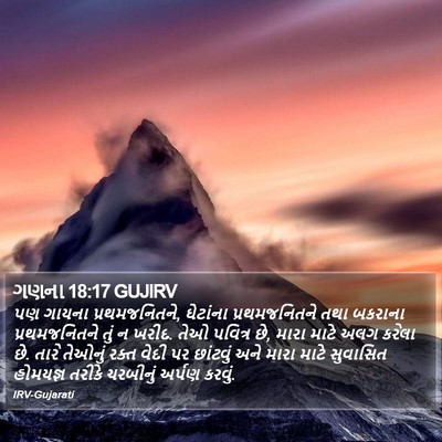 ગણના 18:17 GUJIRV Bible Verse Image