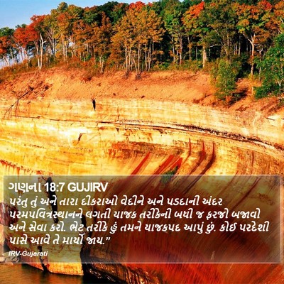 ગણના 18:7 GUJIRV Bible Verse Image