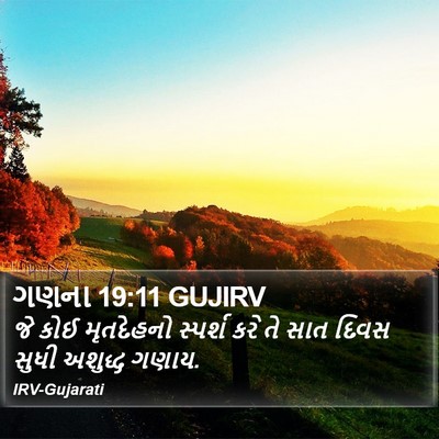 ગણના 19:11 GUJIRV Bible Verse Image