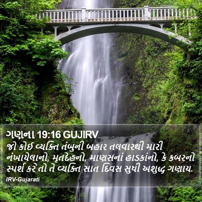 ગણના 19:16 GUJIRV Bible Verse Image