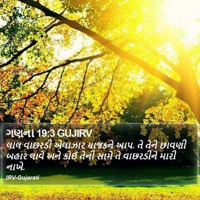ગણના 19:3 GUJIRV Bible Verse Image