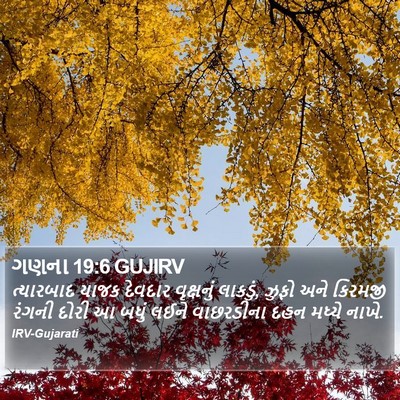 ગણના 19:6 GUJIRV Bible Verse Image