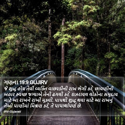 ગણના 19:9 GUJIRV Bible Verse Image