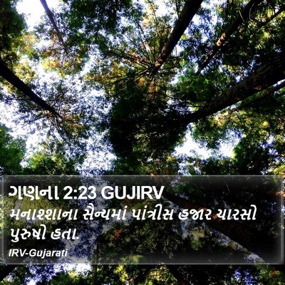 ગણના 2:23 GUJIRV Bible Verse Image