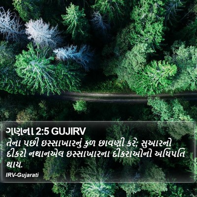 ગણના 2:5 GUJIRV Bible Verse Image