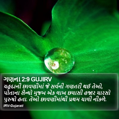 ગણના 2:9 GUJIRV Bible Verse Image