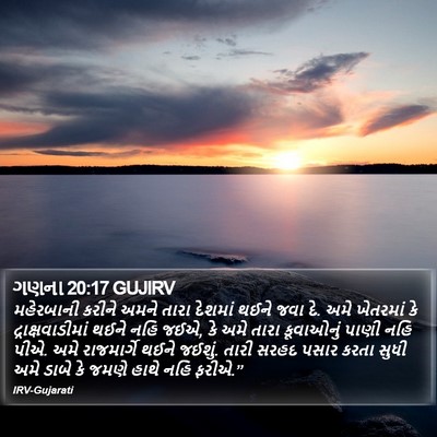 ગણના 20:17 GUJIRV Bible Verse Image