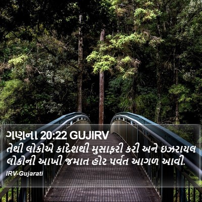 ગણના 20:22 GUJIRV Bible Verse Image