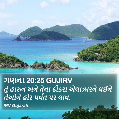ગણના 20:25 GUJIRV Bible Verse Image