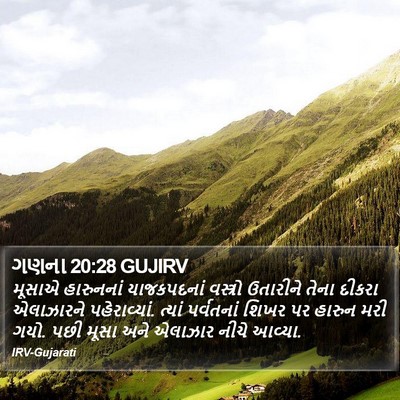 ગણના 20:28 GUJIRV Bible Verse Image