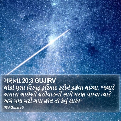 ગણના 20:3 GUJIRV Bible Verse Image