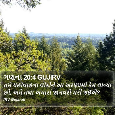 ગણના 20:4 GUJIRV Bible Verse Image