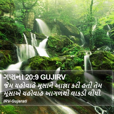 ગણના 20:9 GUJIRV Bible Verse Image