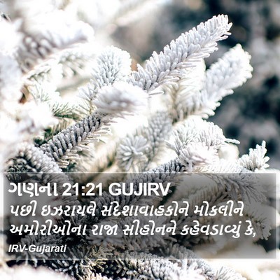 ગણના 21:21 GUJIRV Bible Verse Image