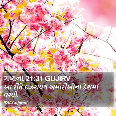 ગણના 21:31 GUJIRV Bible Verse Image