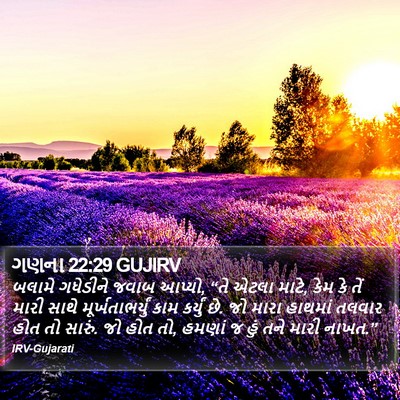 ગણના 22:29 GUJIRV Bible Verse Image