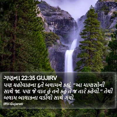 ગણના 22:35 GUJIRV Bible Verse Image