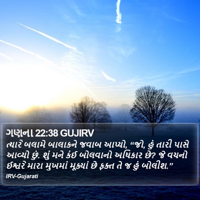 ગણના 22:38 GUJIRV Bible Verse Image