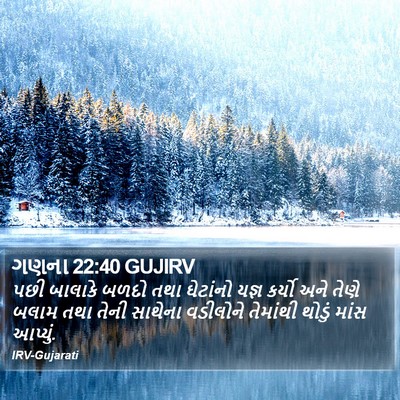 ગણના 22:40 GUJIRV Bible Verse Image