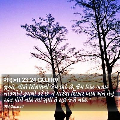 ગણના 23:24 GUJIRV Bible Verse Image
