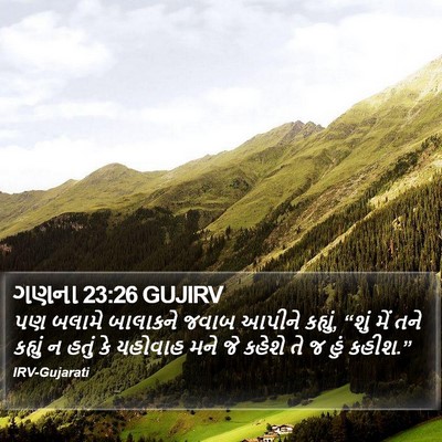 ગણના 23:26 GUJIRV Bible Verse Image