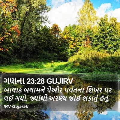 ગણના 23:28 GUJIRV Bible Verse Image