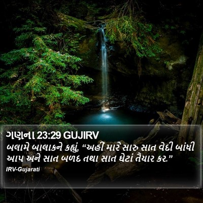 ગણના 23:29 GUJIRV Bible Verse Image