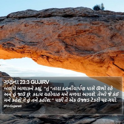 ગણના 23:3 GUJIRV Bible Verse Image