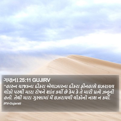 ગણના 25:11 GUJIRV Bible Verse Image