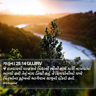 ગણના 25:14 GUJIRV Bible Verse Image